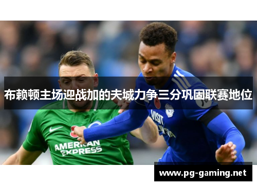 布赖顿主场迎战加的夫城力争三分巩固联赛地位